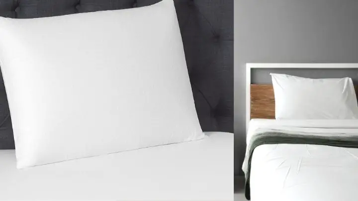 Beautyrest Pillow Review – Latex Foam Pillow Reviewed
