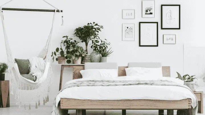 Best Plants for the Bedroom – Top 10 Plants for a Better Sleep