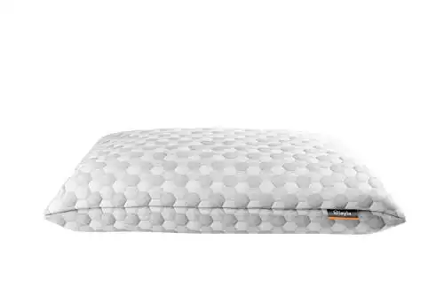 Layla Sleep Pillows (Standard/Queen)