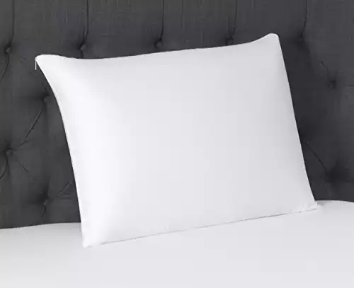 Beautyrest Latex Foam Pillow