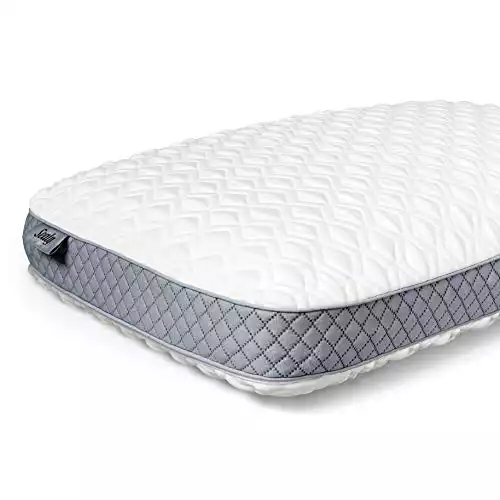 Sealy Molded Memory Foam Pillow